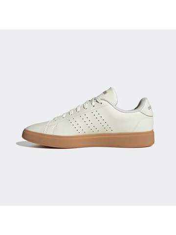 adidas Sneakers in Creme