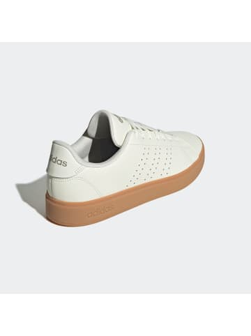 adidas Sneakers in Creme
