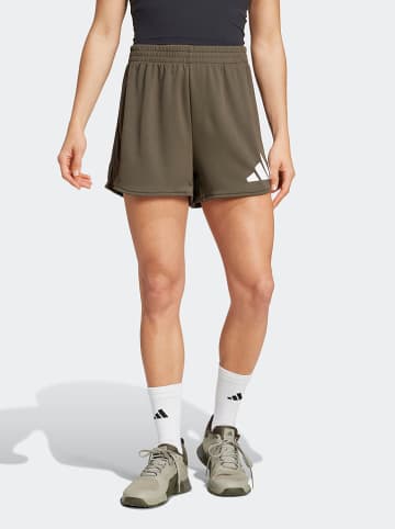 adidas Shorts in Khaki