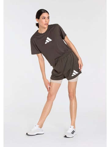 adidas Shorts in Khaki