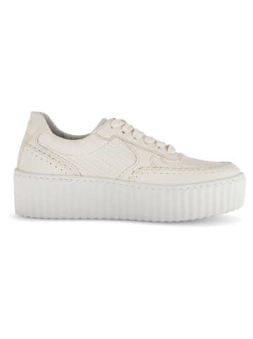 Gabor Leder-Sneakers in Beige
