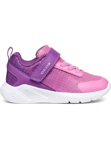 Geox Sneakersy "Sprintye" w kolorze fioletowym