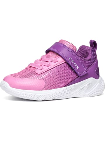 Geox Sneakersy "Sprintye" w kolorze fioletowym