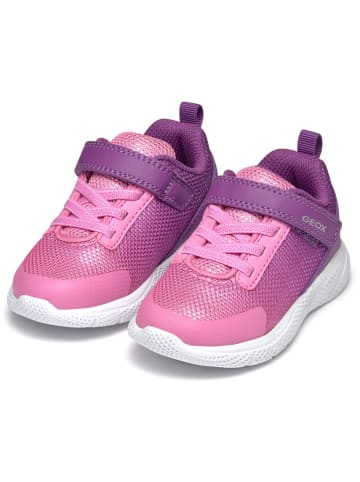 Geox Sneakersy "Sprintye" w kolorze fioletowym