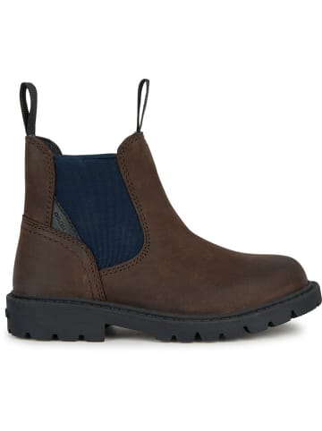 Geox Chelsea-Boots "Shaylax" in Braun
