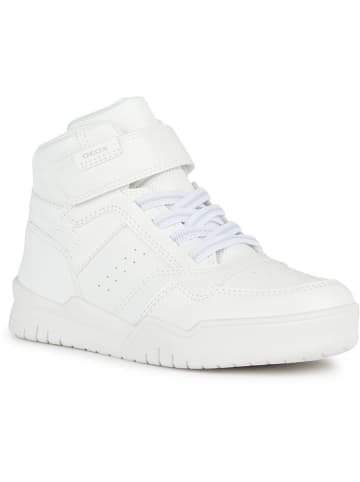 Geox Sneakers "Perth" in Weiß