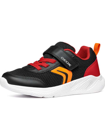 Geox Sneakers "Sprintye" in Schwarz/ Rot