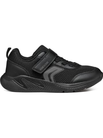 Geox Sneakers "Sprintye" in Schwarz