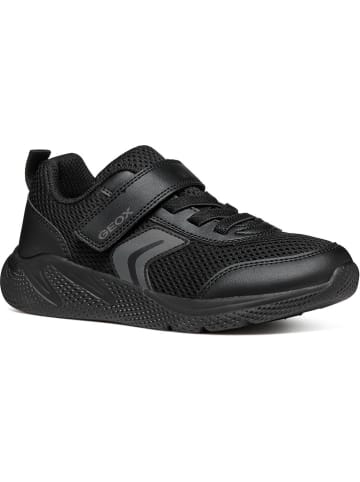 Geox Sneakers "Sprintye" in Schwarz