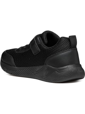 Geox Sneakersy "Sprintye" w kolorze czarnym