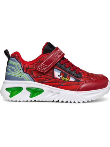 Geox Sneakers "Assister" in Rot