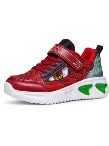 Geox Sneakers "Assister" in Rot