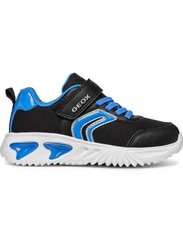Geox Sneakers "Assister" in Schwarz/ Blau