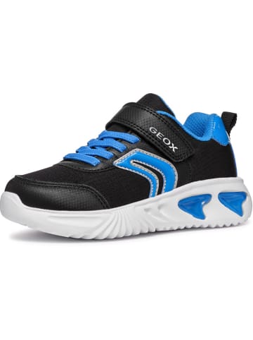 Geox Sneakers "Assister" in Schwarz/ Blau