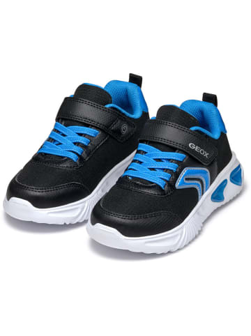 Geox Sneakers "Assister" in Schwarz/ Blau