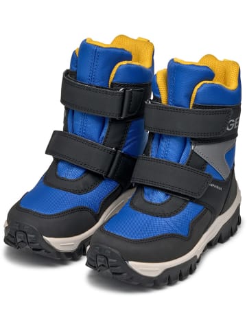 Geox Winterboots "Himalaya" in Blau