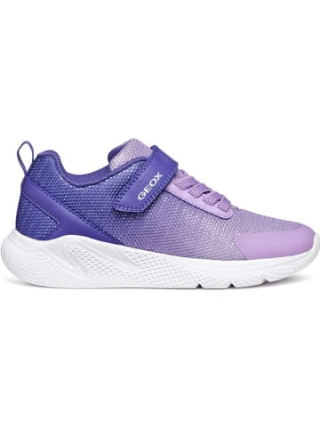 Geox Sneakers "Sprintye" paars