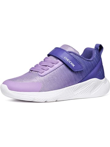 Geox Sneakersy "Sprintye" w kolorze fioletowym
