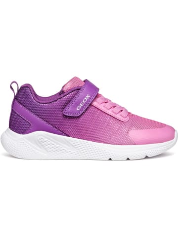 Geox Sneakers "Sprintye" in Lila/ Pink
