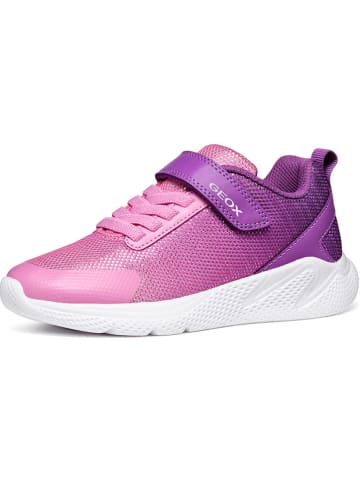 Geox Sneakersy "Sprintye" w kolorze różowo-fioletowym