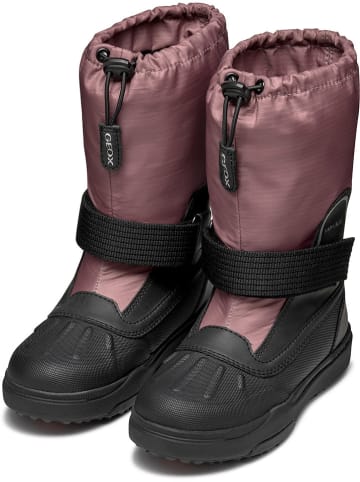 Geox Winterstiefel "Bunshee" in Rosa/ Schwarz