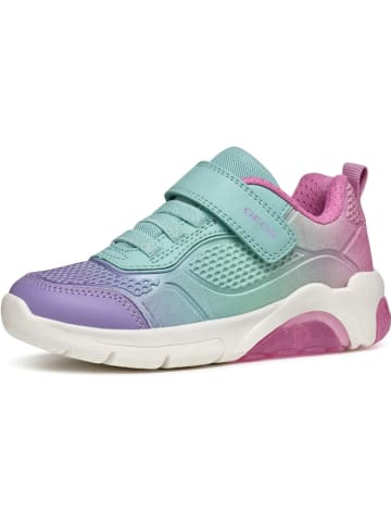 Geox Sneakers "Fadinlight" in Türkis/ Rosa