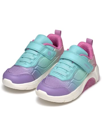 Geox Sneakers "Fadinlight" in Türkis/ Rosa