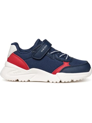 Geox Sneakers "Loftus" in Dunkelblau
