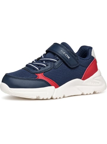 Geox Sneakers "Loftus" in Dunkelblau