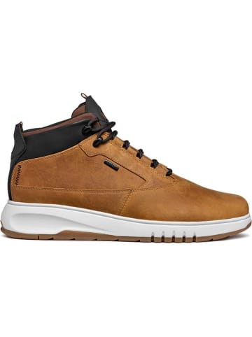 Geox Sneakersy "Aerantis" w kolorze jasnobrązowym