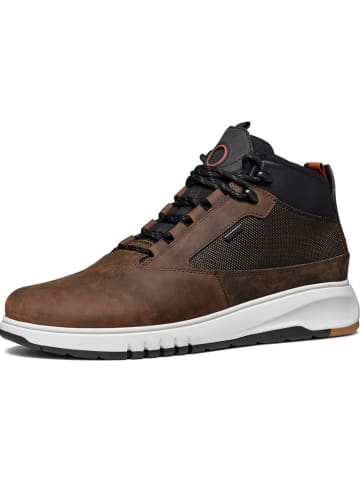 Geox Sneakers "Aerantis" in Braun