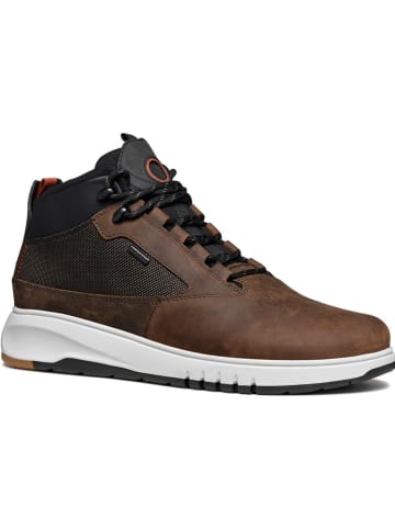 Geox Sneakers "Aerantis" in Braun