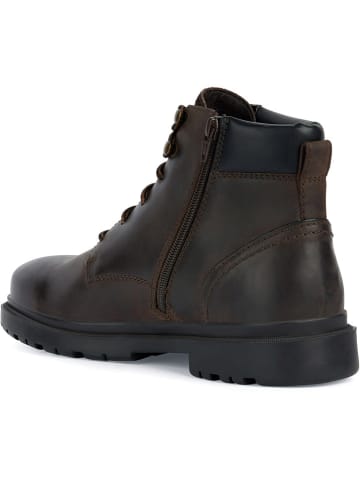 Geox Leder-Boots "Andalo" in Braun