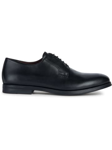 Geox Leder-Schnürschuhe "Decio" in Schwarz