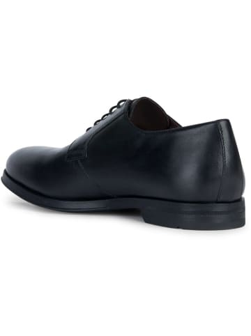 Geox Leren veterschoenen "Decio" zwart