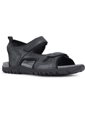 Geox Sandalen "Strada" in Schwarz