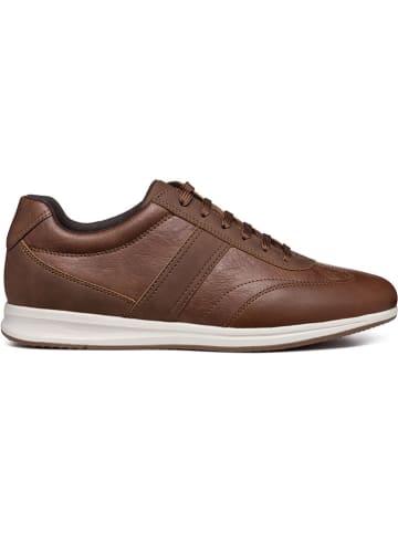 Geox Sneakers "Avery" in Hellbraun