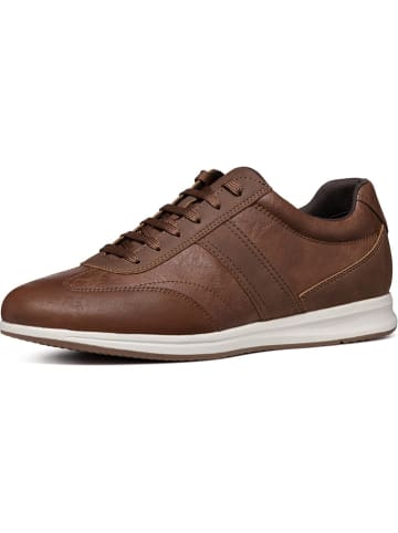 Geox Sneakersy "Avery" w kolorze jasnobrązowym