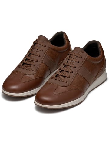 Geox Sneakers "Avery" in Hellbraun