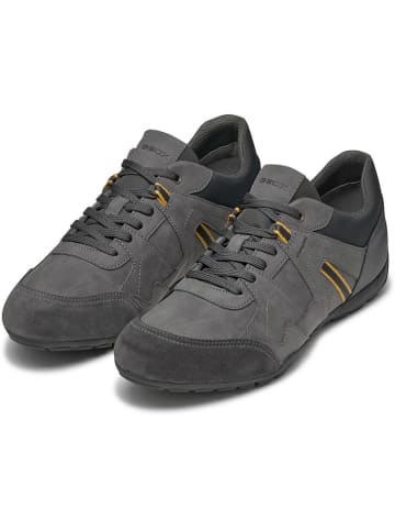 Geox Snreakers "Raves" in Grau