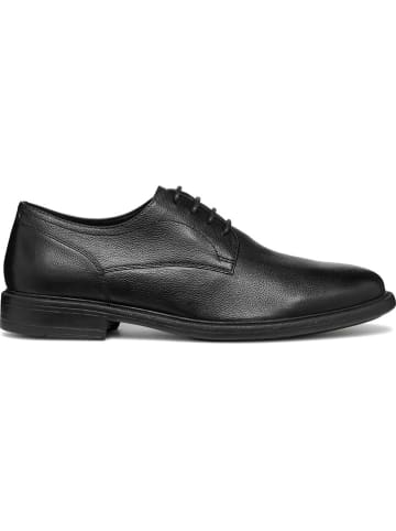 Geox Leren veterschoenen "Terence" zwart