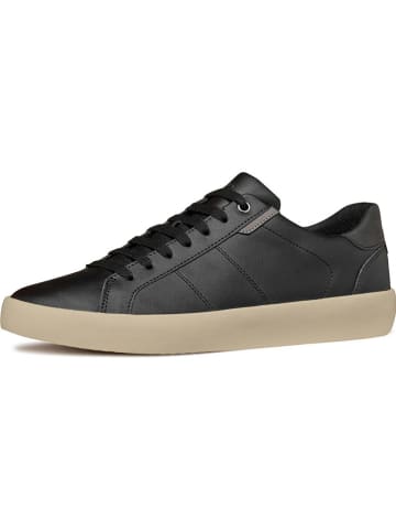 Geox Leder-Sneakers "Affile" in Schwarz