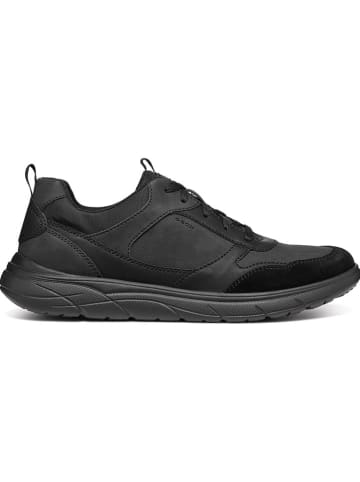Geox Sneakers "Portello" in Schwarz