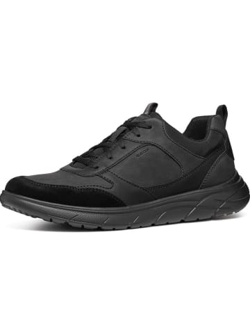 Geox Sneakers "Portello" in Schwarz