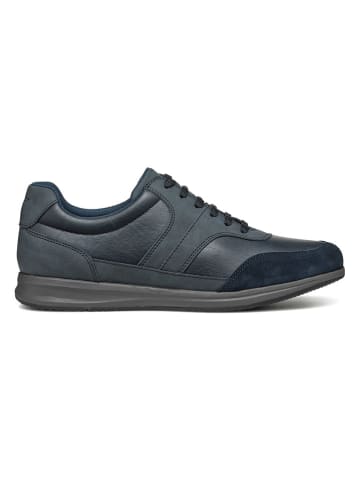 Geox Sneakers "Avery" in Dunkelblau