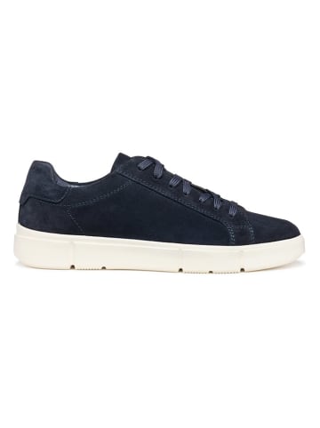 Geox Sneakers "Prali" in Dunkelblau