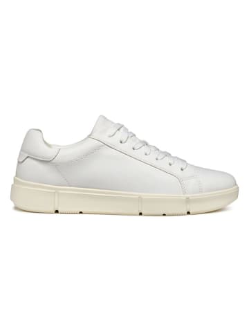 Geox Sneakers "Prali" in Weiß