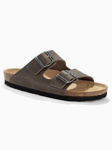 Bluebay Leren slippers "Aristote" beige/grijs