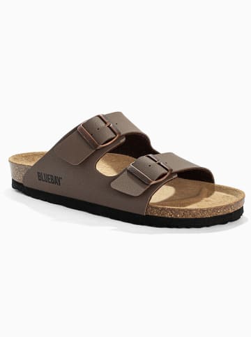 Bluebay Slippers "Aristote" bruin