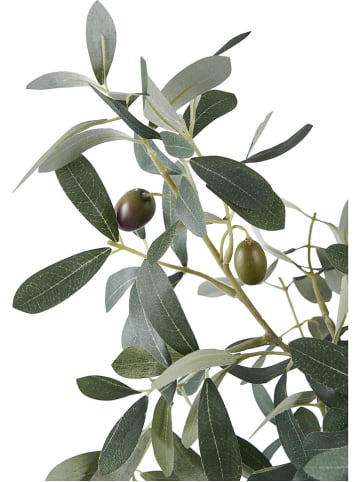 House Nordic Kunstpflanze "Olive Tree" in Grün - (H)61 cm